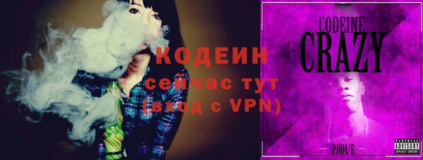 хмурый Бородино
