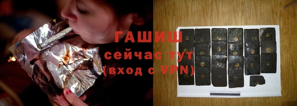 хмурый Бородино