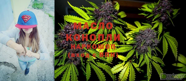 хмурый Бородино