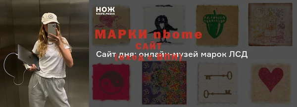 хмурый Бородино