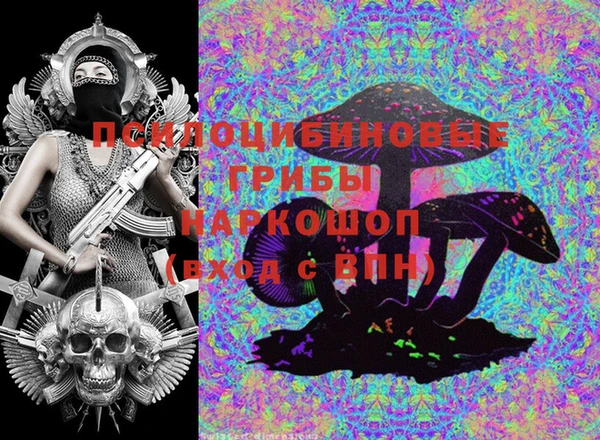 ECSTASY Бронницы