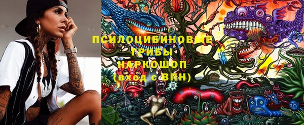 хмурый Бородино