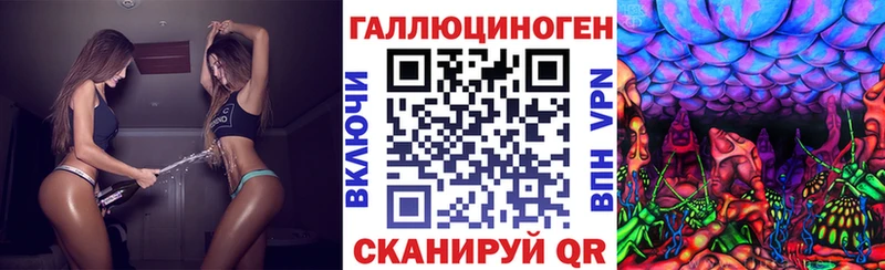 Галлюциногенные грибы Psilocybe  Сыктывкар 